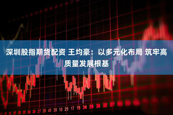 深圳股指期货配资 王均豪：以多元化布局 筑牢高质量发展根基
