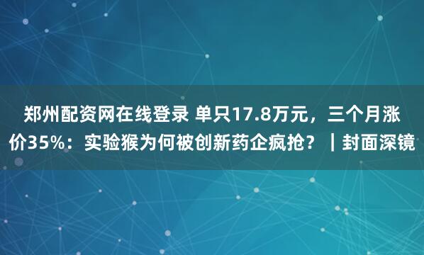 郑州配资网在线登录 单只17.8万元，三个月涨价35%：实验猴为何被创新药企疯抢？｜封面深镜